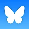 down Bluesky