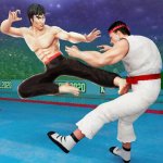  Tag Team Karate Fighting Mod  Tag Team Karate Fighting Mod apk unlimited money and gold 