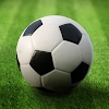 World Soccer League Logo
