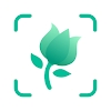 PictureThis Mod Logo