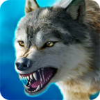 down The Wolf: Animal Hunting Game
