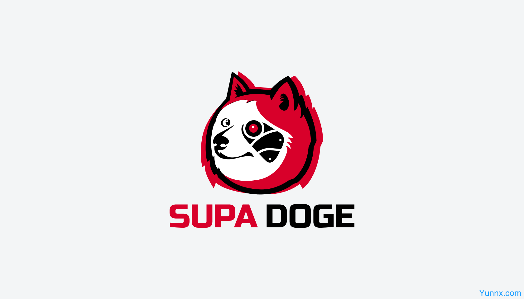 Supadoge