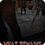 down What Remains Migizi