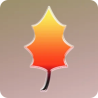 down Back to the Cabin