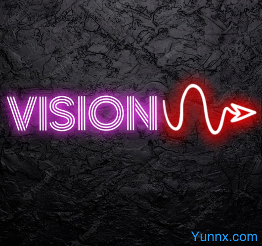 down VISION