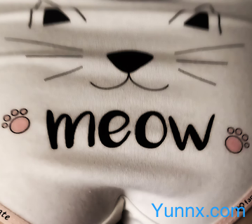 down Exchange Program: New Roommate