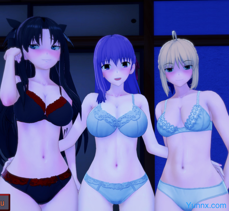 Fate/Stray Night Logo