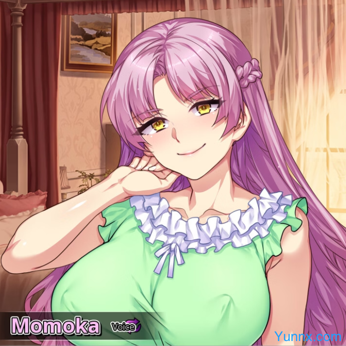 Secrets of a Porn Shop Princess Secrets of a Porn Shop Princess Game Download Free latest version