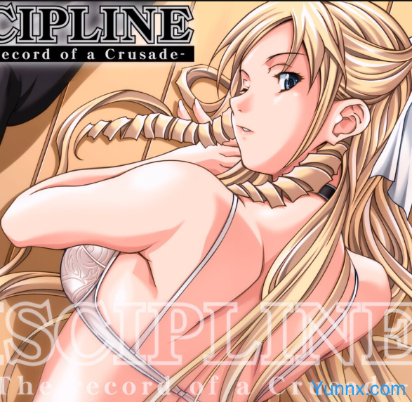 Discipline -The record of a Crusade Logo