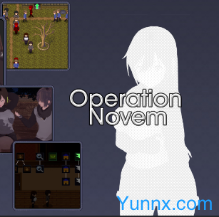 down Operation Novem