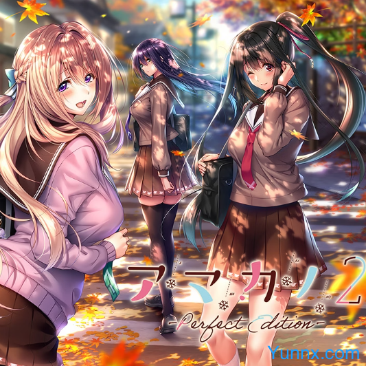 down Amakano 2 - Perfect Edition