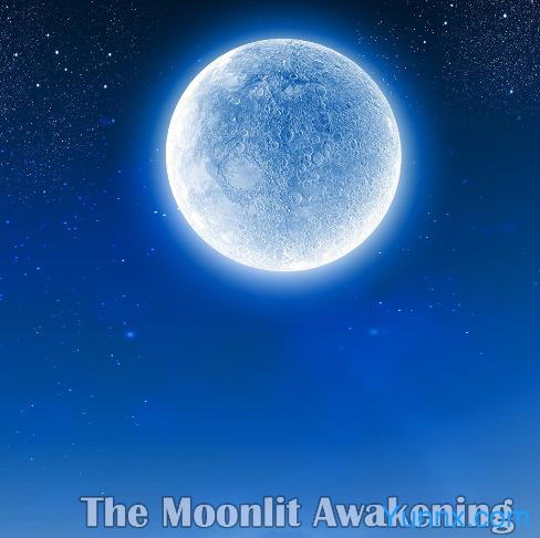 The Moonlit Awakening