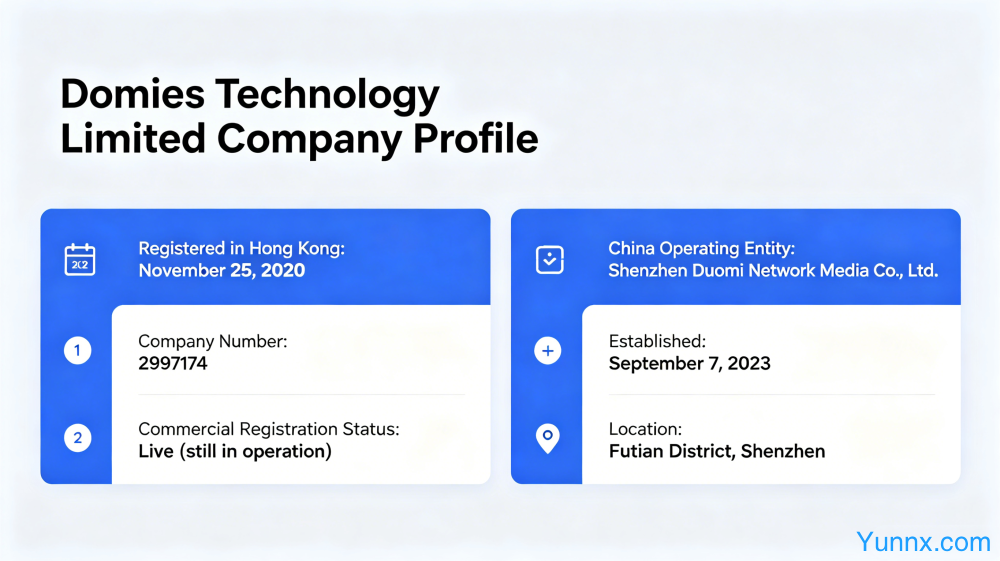 Domies Technology Limited