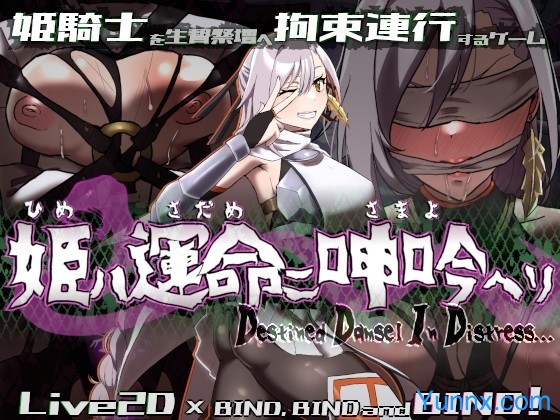 Bound by Destiny Logo